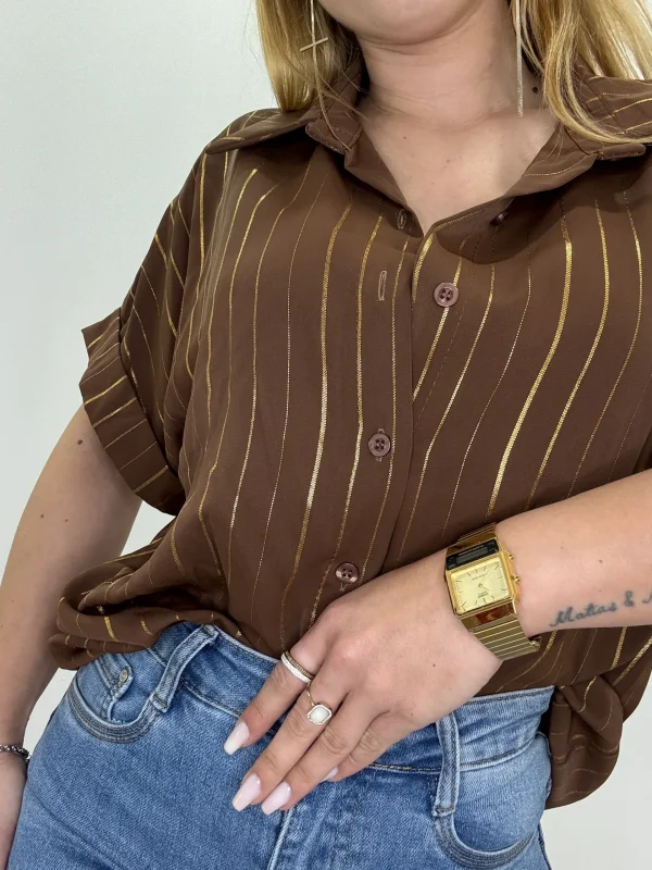 Camisa castanha (1)